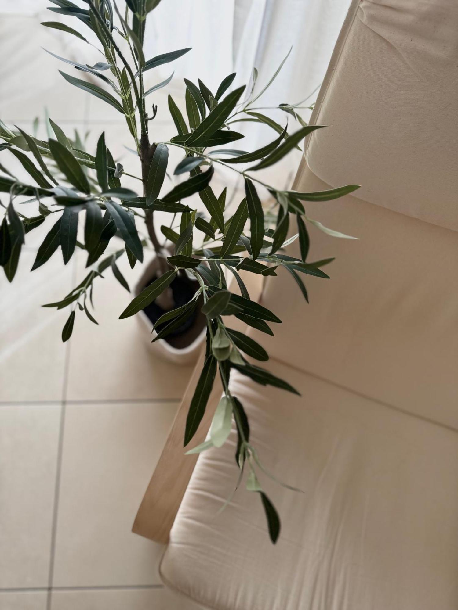 Apartment Roky Povljana Dış mekan fotoğraf